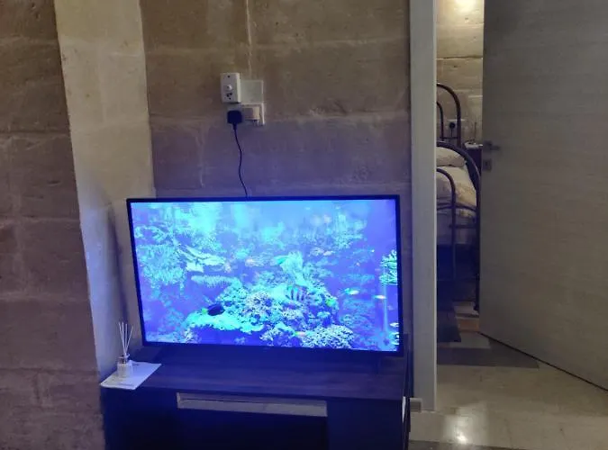 Boxman Family Host Lejlighed *