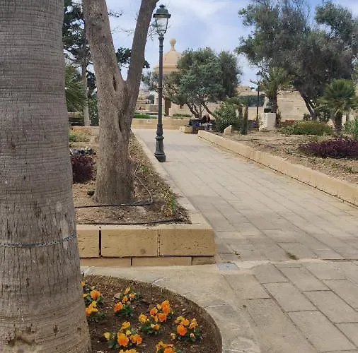 Boxman Family Host Senglea